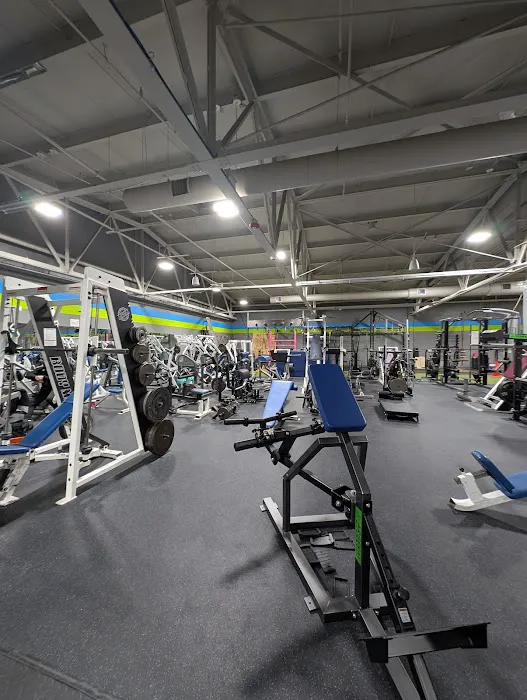 The Gym & CrossFit Alcides Picture 2