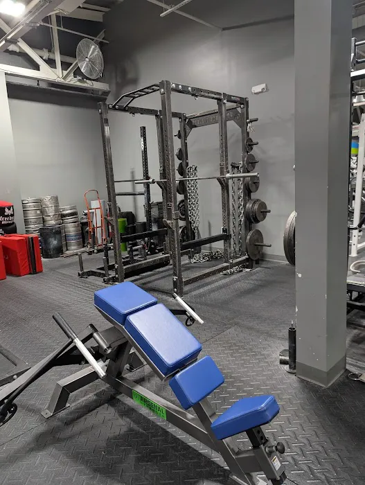 The Gym & CrossFit Alcides Picture 9
