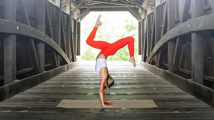 Himalaya Yoga USA Picture 6