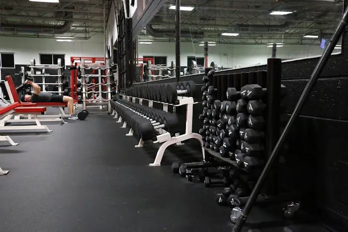 Superfit Picture 6