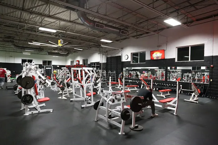 Superfit Picture 5