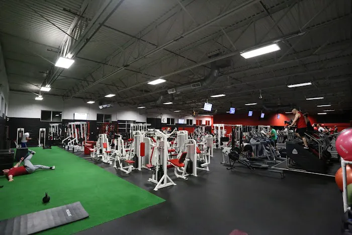Superfit Picture 8