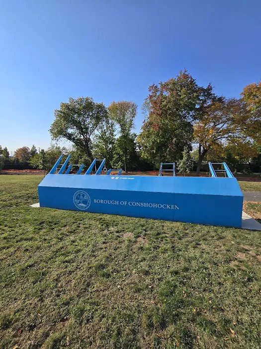 Fitness Court at Sutcliffe Park Picture 3