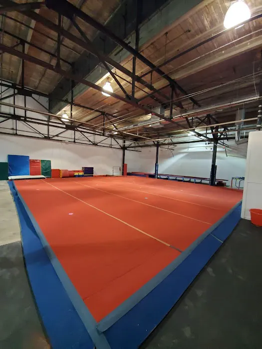 Revolution Cheer Gym Picture 3