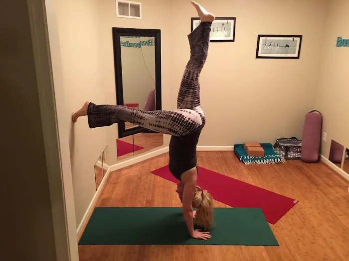 Dragonfly Yoga and Fitness Picture 1