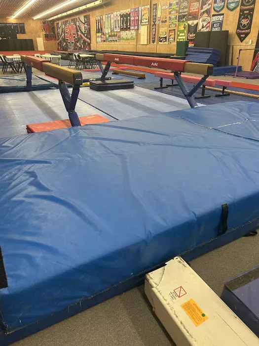 Alloy Gymnastics Academy Picture 1