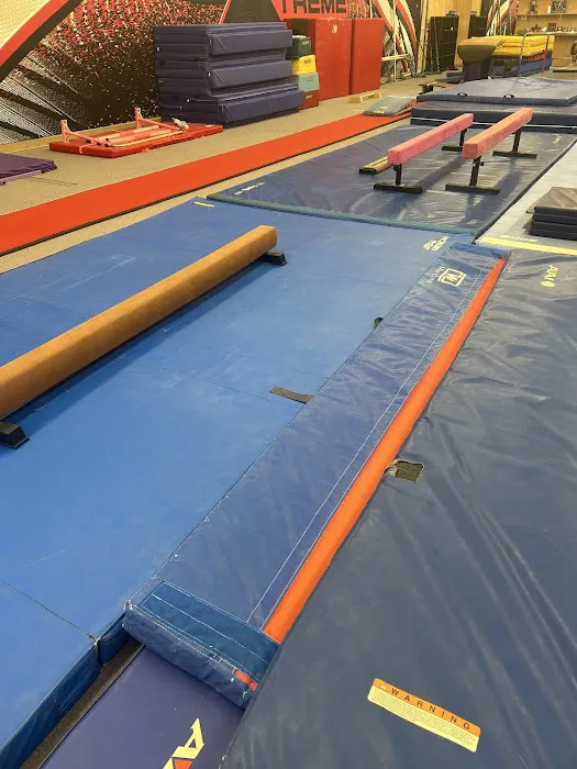 Alloy Gymnastics Academy Picture 10