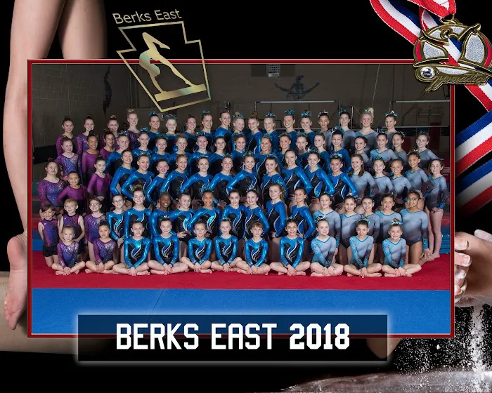 Berks East Gymnastics Picture 5