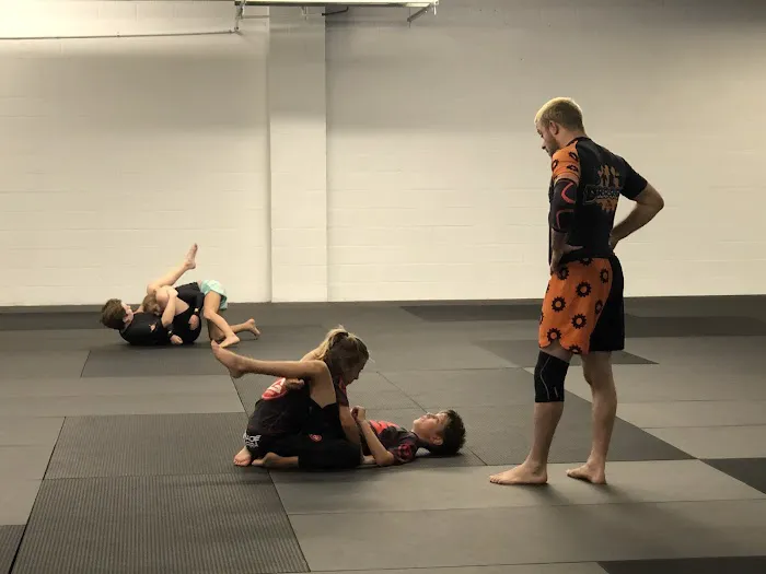 Droogs MMA & Jiu Jitsu Picture 6