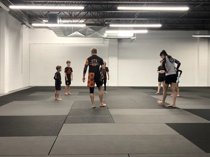 Droogs MMA & Jiu Jitsu Picture 4