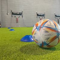 1v1 Performance Training ico