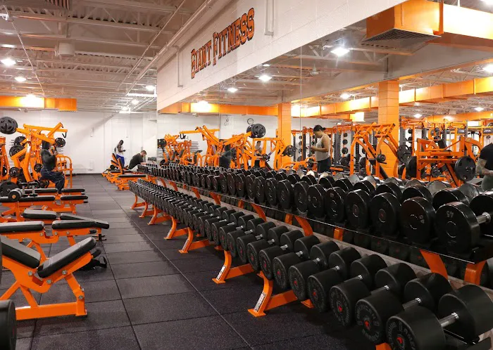 Giant Fitness Picture 4