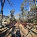 Parcourse FitCenter Calisthenics Park