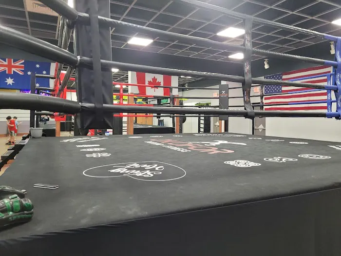 Okofor Boxing + Fitness Picture 5