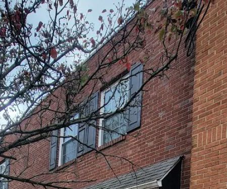 Opal Wellness Studio