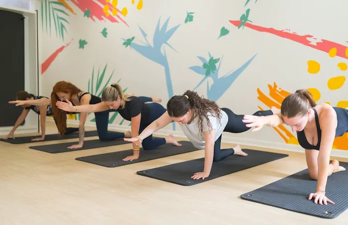 SOLMAR Pilates + Holistic Wellness - Fitler Square Picture 9