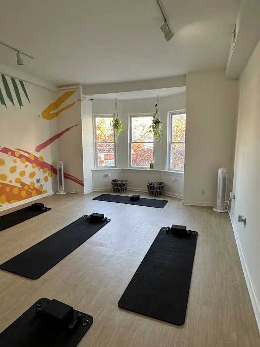 SOLMAR Pilates + Holistic Wellness - Fitler Square Picture 4