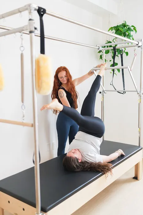 SOLMAR Pilates + Holistic Wellness - Fitler Square Picture 5