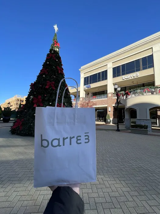 barre3 Picture 4