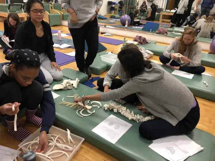 Drexel Pilates Picture 4