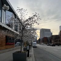 Drexel University Recreation Center ico
