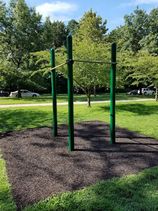MLK Pull-up Bars Picture 2