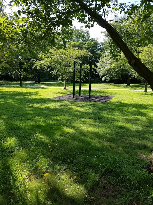 MLK Pull-up Bars Picture 1