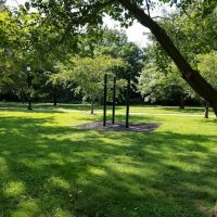 MLK Pull-up Bars ico