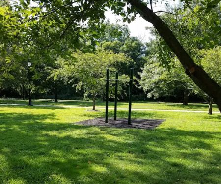 MLK Pull-up Bars