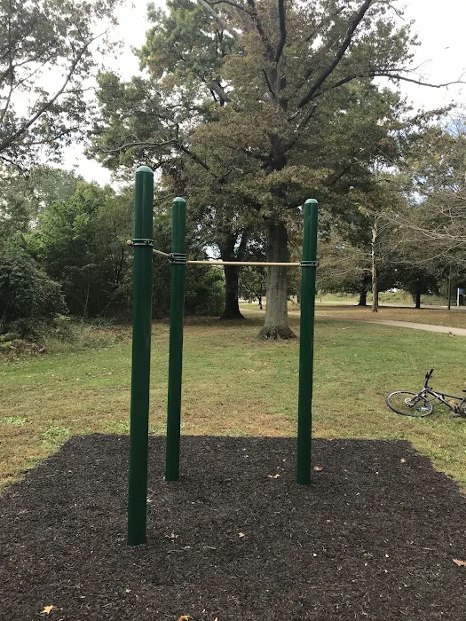 MLK Pull-up Bars Picture 4