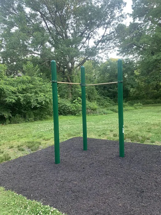 MLK Pull-up Bars Picture 3