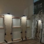 The Pilates & Wellness Studio