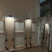 The Pilates & Wellness Studio ico