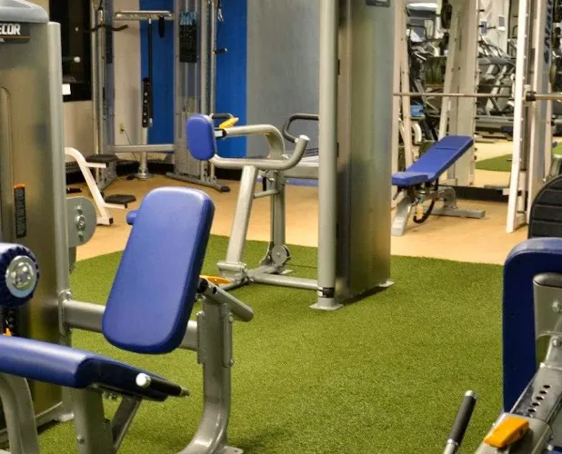 3-D Fitness Picture 6