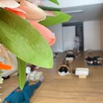 Soul Haum Yoga