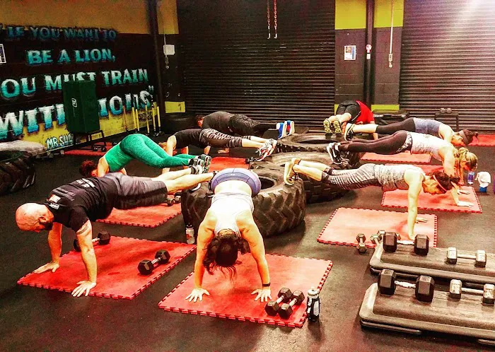 Prime Intensity Training Picture 6