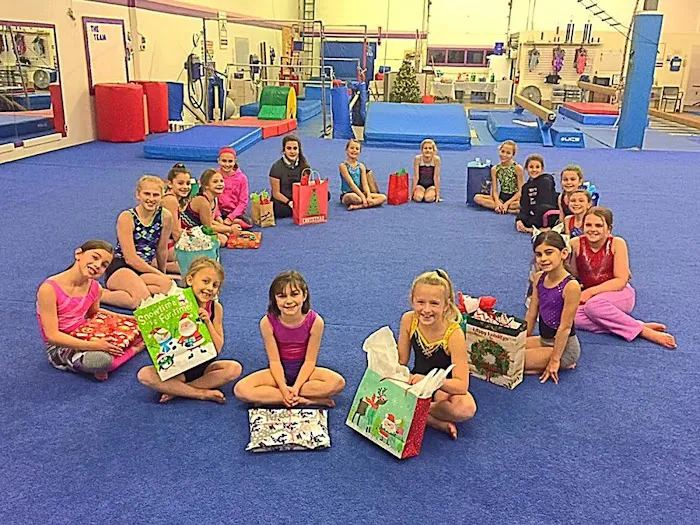 Turner's Gymnastics Inc Picture 2
