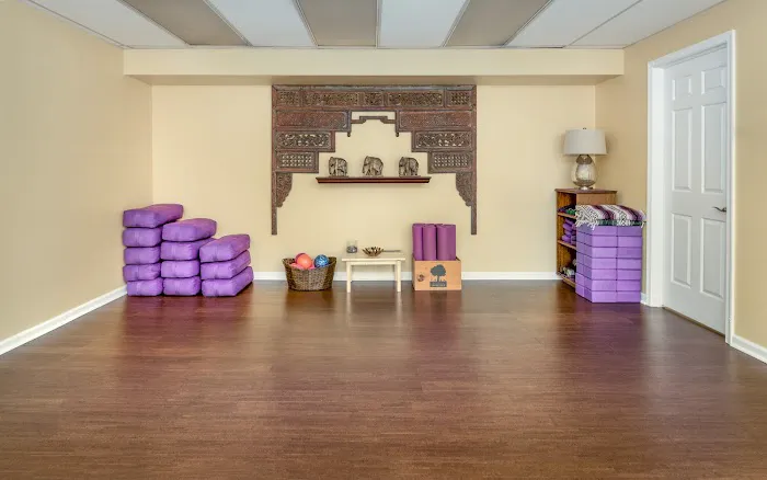 Collegeville Yoga Bar Picture 4