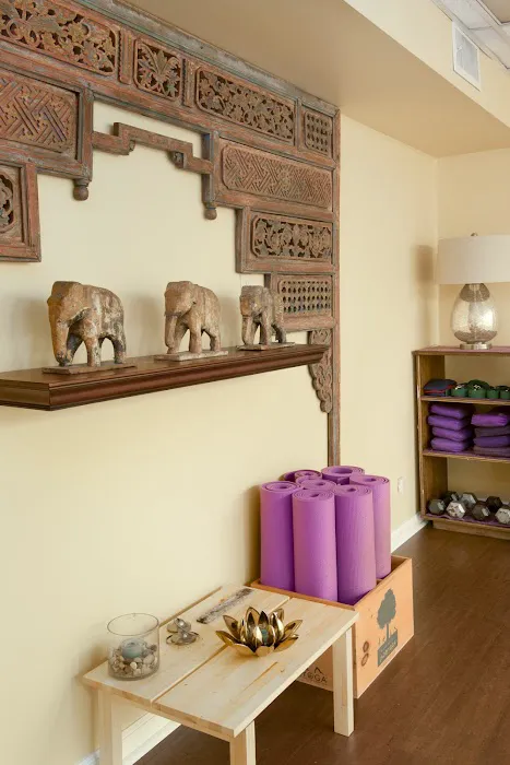 Collegeville Yoga Bar Picture 6