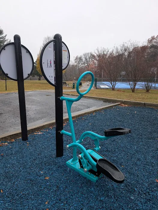 HealthBeat Outdoor Fitness System Picture 2