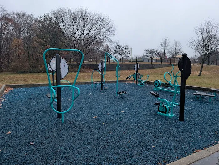 HealthBeat Outdoor Fitness System Picture 1