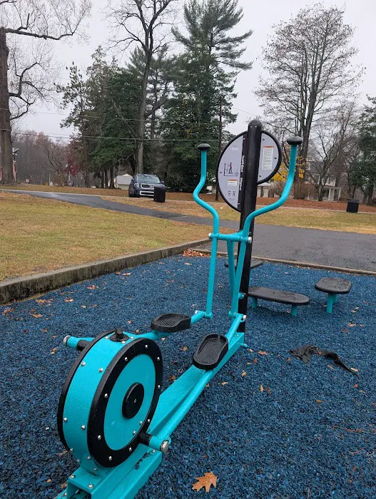 HealthBeat Outdoor Fitness System Picture 7