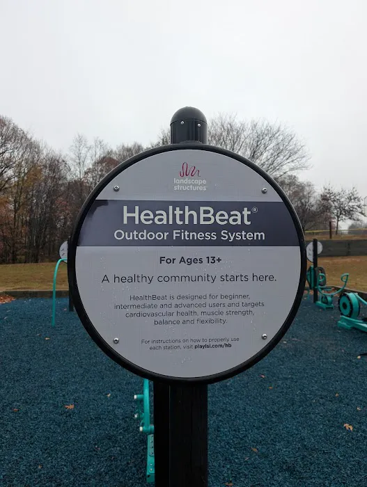 HealthBeat Outdoor Fitness System Picture 4