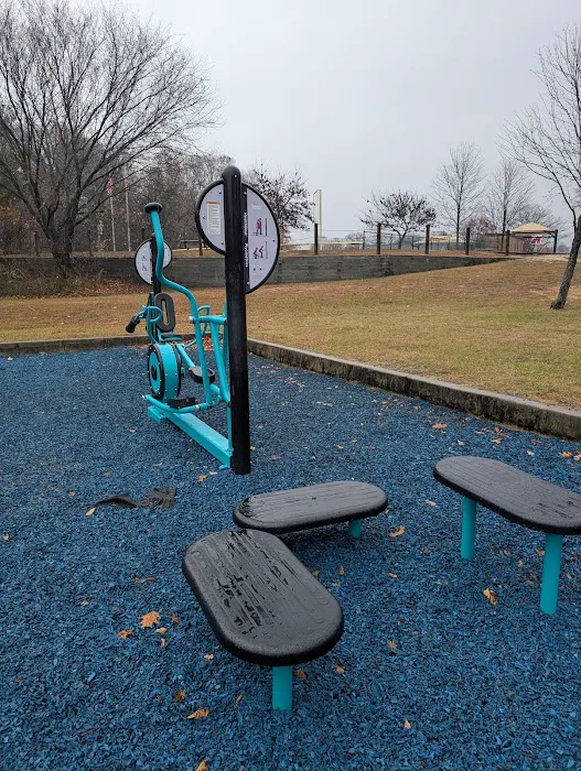 HealthBeat Outdoor Fitness System Picture 5