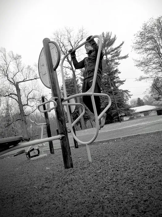 HealthBeat Outdoor Fitness System Picture 8