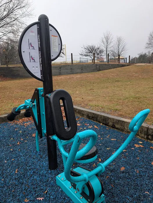 HealthBeat Outdoor Fitness System Picture 6