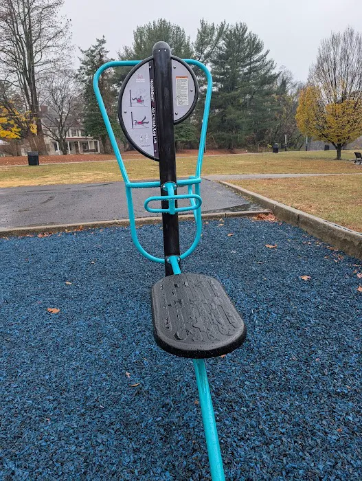 HealthBeat Outdoor Fitness System Picture 9