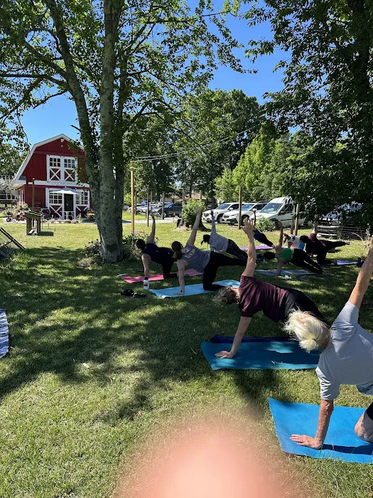 The Yoga Shift Picture 8