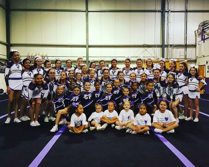 Cheer Force Elite Picture 5