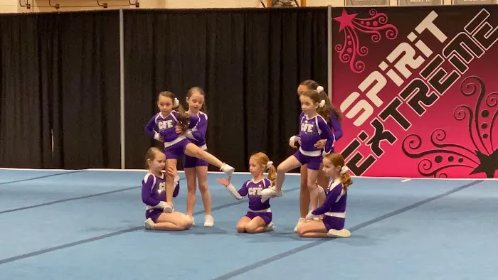 Cheer Force Elite Picture 3